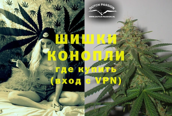 PSILOCYBIN Арсеньев