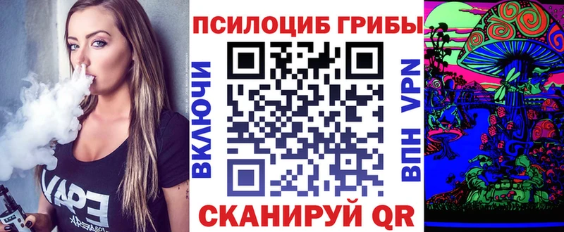 shop клад  как найти наркотики  Дорогобуж  Галлюциногенные грибы мицелий 